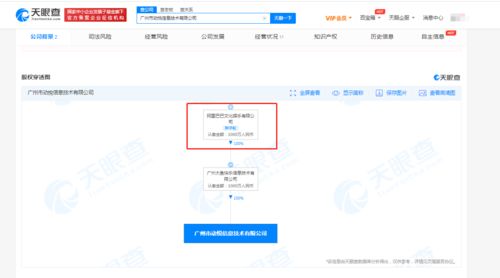 阿里文娛成立新公司，注冊資本1000萬進軍計算機軟硬件零售